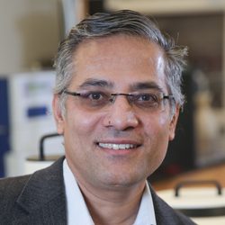 Dr. Jayaraman Sivaguru Dr. Jayaraman Sivaguru (Siva), Distinguished University Professor, Antonia and Marshall Wilson Professor of Chemistry, Associate Director, Center for Photochemical Sciences, Department of Chemistry, Craig Bell photo, Bell2023